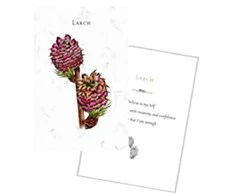 Schiffer Publishing Listening To Flowers Oracle Kortos