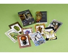 Schiffer Publishing Natures Wisdom Oracle Kortos