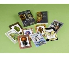 Schiffer Publishing Natures Wisdom Oracle Kortos