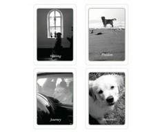 Schiffer Publishing Simple Wisdom Of The Household Dog Kortos