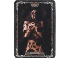 Schiffer Publishing Tarot Gothica Kortos