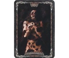 Schiffer Publishing Tarot Gothica Kortos