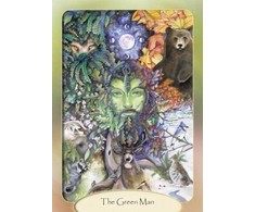 Schiffer Publishing The Stone Circle Oracle Kortos