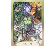Schiffer Publishing The Stone Circle Oracle Kortos
