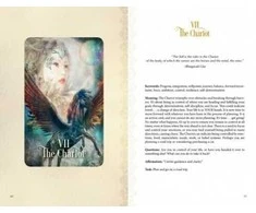 Schiffer Publishing The Tarot Of Enchanted Dreams Kortos