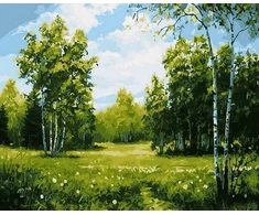 SuperColor Tapyba Pagal Skaičius: „Saulėtas beržynas“ 40x50 cm