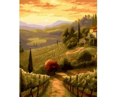 SuperColor Tapyba Pagal Skaičius: „Toskanos vynuogyno peizažas“ 40x50 cm