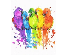 TPS Tapyba Pagal Skaičius: „Spalvotas choras 2“ 40x50 cm