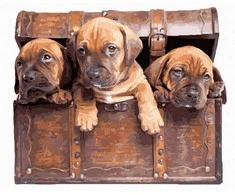 TPS Tapybos rinkinys "3 puppies"