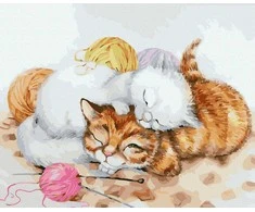 TPS Tapybos rinkinys "Kittens sleep in balls"