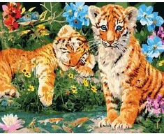 TPS Tapybos rinkinys "Tigers"