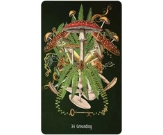 US Games Systems Unlocking The Secret Garden Oracle Kortos