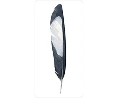 Oracle Kortos Divine Feather US Games Systems