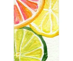 Wizardi Deimantinis paveikslas Citrus Fresh WD281 15*20 cm