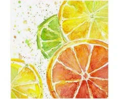 Wizardi Deimantinis paveikslas Citrus Mix WD289 20*20 cm