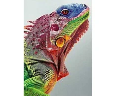 Wizardi Deimantinis paveikslas Iguana WD065 27*38 cm
