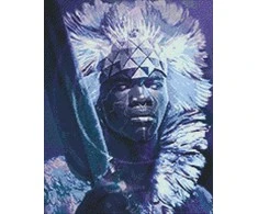 Wizardi Deimantinis paveikslas King of Africa WD144 38*48 cm