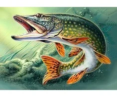 Wizardi Deimantinis paveikslas Pike WD225 38*27 cm