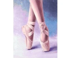 Wizardi Deimantinis paveikslas Pointe shoes 30*40 cm WD3002