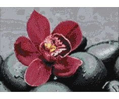 Nuotraukų rėmelis Wizardi Deimantinis paveikslas Royal Orchid WD036 38*27 cm