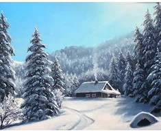 Wizardi Deimantinis paveikslas Winter day WD2610