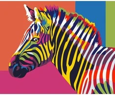 Wizardi Tapybos pagal skaičius rinkinys: Rainbow Zebra 16.5x13 cm MINI006