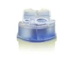 Braun CCR4