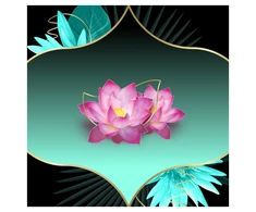 Discreet Protective Waterlily Plus Higieniniai Įklotai, 52 vnt.
