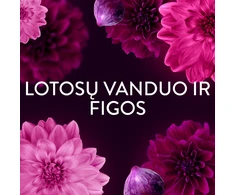 LENOR Audinių minkštiklis "Diamond Figs &amp; Lotus Flower" 2x987 ml (94 skalbimai)