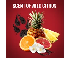 Old Spice WolfThorn 3in1 Dušo želė dušo gelis vyrams, 1000 ml