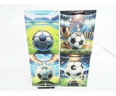 Wktorebki AST. KREPŠYS x 12 PREZENT. 24x18x8 cm Kamuolys stadion