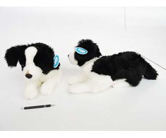 Dubi *PLUSZ pies Border Collie 45cm