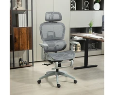 Aosom Biuro kėdė Ergonomiška darbo kėdė 66x64x114 cm Pilka tinklelio audinys