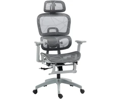 Aosom Biuro kėdė Ergonomiška darbo kėdė 66x64x114 cm Pilka tinklelio audinys