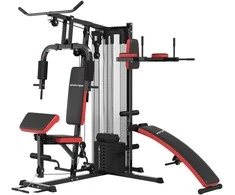 Aosom Daugiafunkcinė treniruočių stotis 225x175x200 cm juoda, plienas