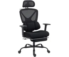 Aosom Ergonomiškas biuro krėslas 73x75x120 cm Juodas tinklelis