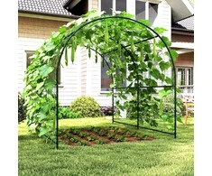 Aosom Grotelės 210x250x216 cm Žalios, metalas