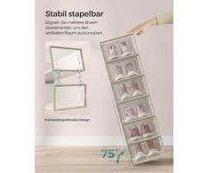 Songmics 18 sulankstomų ir sukraunamų skaidrių avižinės smėlio spalvos batų dėžių rinkinys