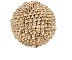 Bazaar Dekoratyvinis kamuolys Oluolu Shell Ball 13x13x13 cm baltas, kriauklė