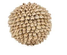 Bazaar Dekoratyvinis rutulys, Oluolu Shell Ball, 11x11x11 cm, balta, kriauklė
