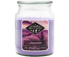 Candle Brothers Kvapnioji žvakė 15x10 cm violetinė
