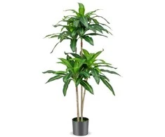 Promotions Dirbtinė dracena, 140 cm, žalia