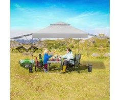 Promotions Lauko pavėsinė palapinė, 300x537x270-290 cm, balta