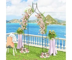 Promotions Sodo Arka, Dekoratyvinis Metalas, 124.9x39.6x289.6 cm, Juoda