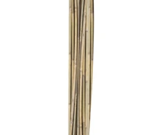 Home4You Bamboo Bambuko lazdos SODE H150cm 10vnt/komplektas D10/12mm