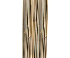 Home4You Bamboo Bambuko lazdos SODE H120cm 20vnt/komplektas D8/10mm