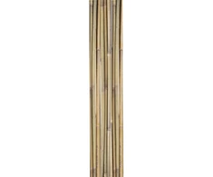 Home4You Bamboo Bambuko lazdos SODE H180cm 10vnt/komplektas D12/14mm