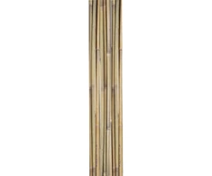 Home4You Bamboo Bambuko lazdos SODE H180cm 10vnt/komplektas D12/14mm