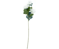 Home4You Dirbtinė gėlė „FLOWERLY“, aukštis 67 cm, balta, „Mimosa“