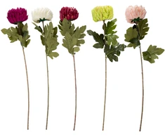 Home4You Dirbtinė gėlė FLOWERLY H74cm, chrizantema